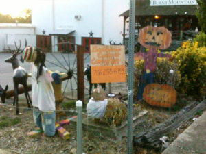 Boo-Who Scarecrow Contest